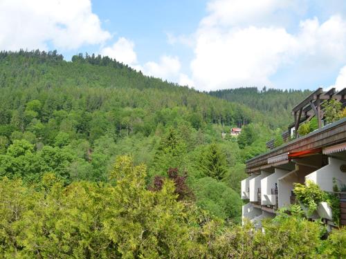 desde el balcón de un edificio con vistas a las montañas en Wohnen am Kurpark Bad Wildbad, en Bad Wildbad