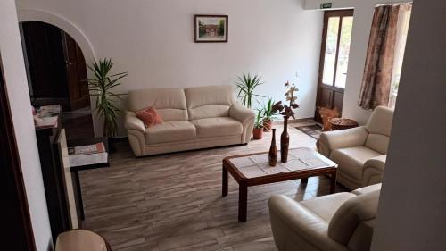 a living room with couches and a coffee table at Pavilon Panzió Étterem és Pizzéria in Gyomaendrőd