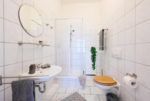 a white bathroom with a toilet and a sink at Gutshaus Dumsevitz in Dumsevitz