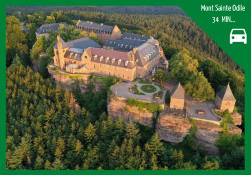 an aerial view of a large building on a mountain at Aux Plaisirs d'Alsace Centre Historique in Sélestat
