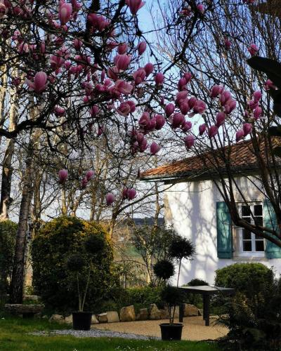 a tree with pink flowers in front of a house at L'écrin des Gaves in Hastingues