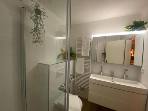 bagno con doccia, lavandino e specchio di FeWo Schneerosenblüte, Oberstaufen/Steibis a Oberstaufen