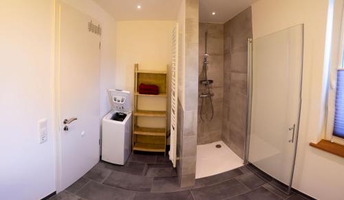 een badkamer met een douche, een toilet en een wastafel bij Ferienhäuser Rüno in Bergen auf Rügen