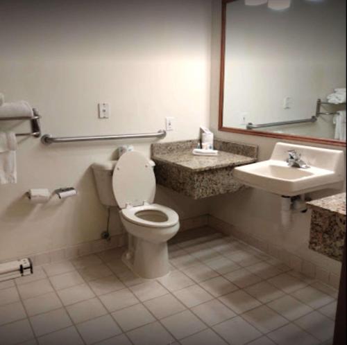 a bathroom with a toilet and a sink at Comfort Inn & Suites at I-74 and 155 in Morton