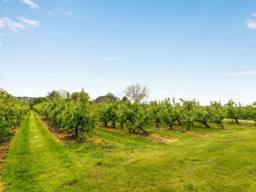 a row of apple trees in a field at Chalet De Orangerie by Interhome in Zaamslag