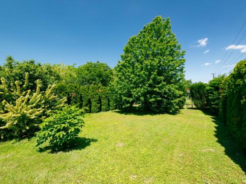 a yard with trees and grass and bushes at Apartment Scarlett 2 by Interhome in Balatonszemes