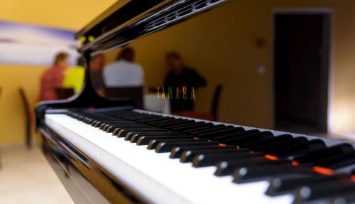 a close up of a piano keyboard at Hotel Restaurant Sokrates in Güttingen