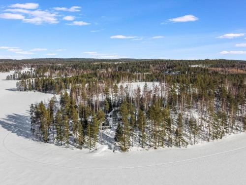 HankamäkiにあるHoliday Home Naurisniemi by Interhomeの雪の森の空