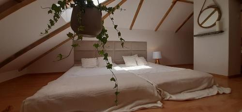 ein Schlafzimmer mit einem Bett und einer Topfpflanze darüber in der Unterkunft Domek - Apartament in Łapalice