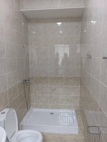 a bathroom with a shower and a toilet and a tub at BekBro Hostel in Bishkek