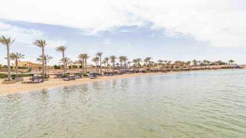 a beach with palm trees and a body of water at Blend Elphistone Resort Marsa Alam in Abu Dabab