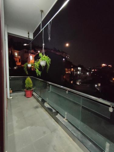 a balcony with two potted plants on it at night at Hoshi DaLat House in Da Lat