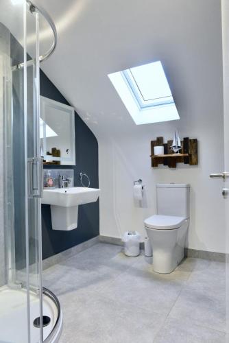 a bathroom with a toilet and a sink and a skylight at Rostrevor Mountain Lodge - Glamping Pods - Revive Sauna & Hot Tubs in Rostrevor