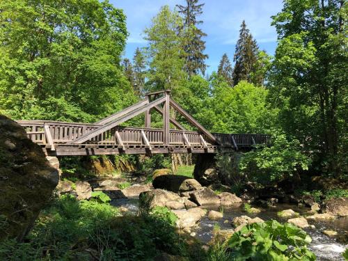 a wooden bridge over a creek in a forest at View & Garden Villa Schauenstein in Schauenstein