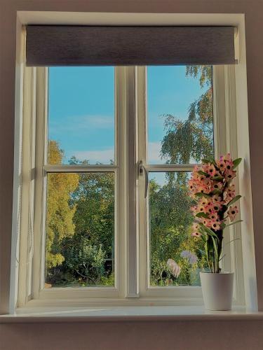 a window with a plant in a vase on a window sill at Tor Cottage, perfectly positioned! in Glastonbury