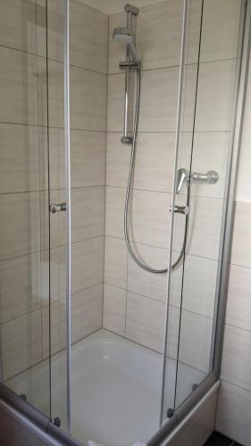 eine Duschkabine mit einer Glastür und einer Dusche in der Unterkunft Residenzpark Willingen  Haus Langenberg in Willingen