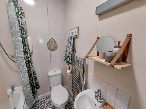 a bathroom with a white toilet and a sink at Lovely 2 bedroom apartment in the centre of Hawick in Hawick