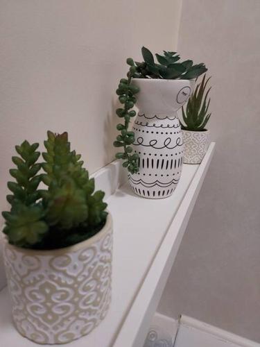 three plants in white vases sitting on a shelf at Lovely 2 bedroom apartment in the centre of Hawick in Hawick