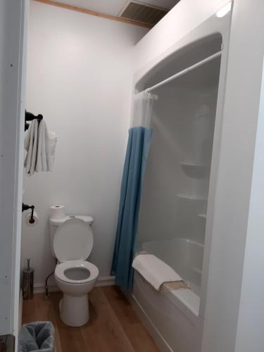 Ванная комната в Balmoral Motel