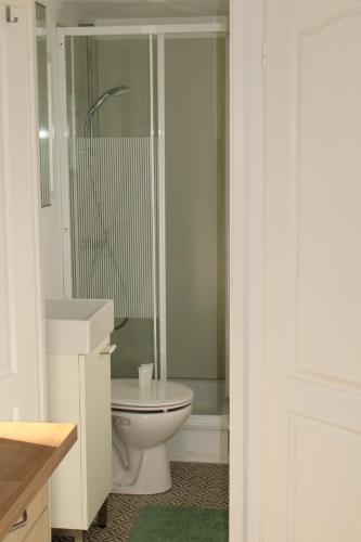 a white bathroom with a toilet and a shower at Sfeervol vakantiehuisje in bosrijke omgeving in Vorden