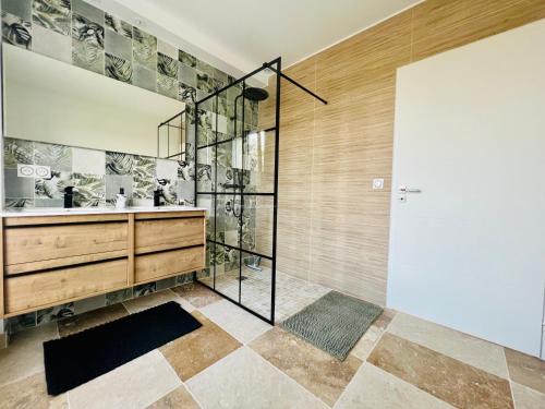 a bathroom with a shower and a sink at résidence belle vue in Fontaine-le-Port