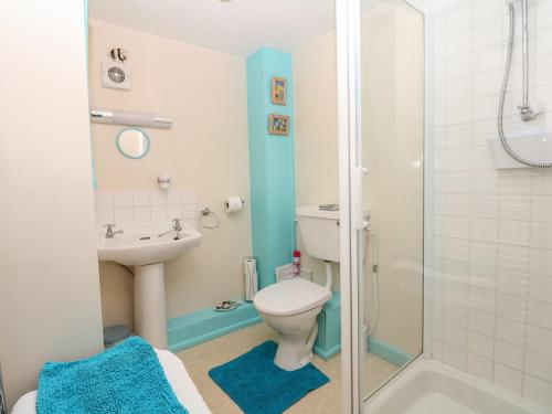 ein Bad mit einem WC, einem Waschbecken und einer Dusche in der Unterkunft Badger Cottage in Mawgan