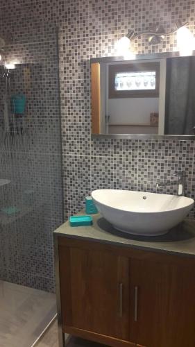 a bathroom with a white sink and a shower at Le Chalet de Lili in Névache