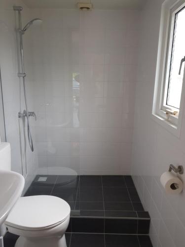 een witte badkamer met een toilet en een wastafel bij De Bijsselse Enk, Lelie in Nunspeet