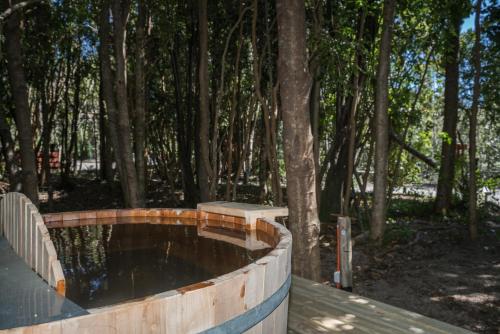 a bench sitting on a wooden deck in a forest at Cabañas Ensenada Bosque Nativo in Ensenada