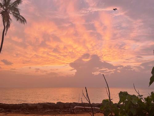 Gallery image of ISAMAR FRONT BEACH in Marawila