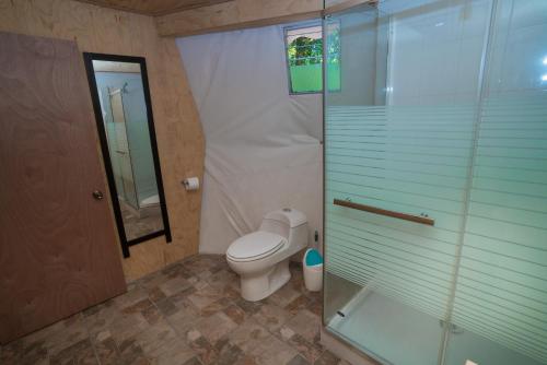 a bathroom with a toilet and a glass shower at Cabañas Ensenada Bosque Nativo in Ensenada