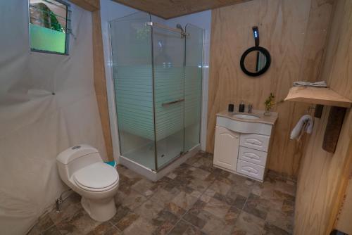 a bathroom with a shower and a toilet and a sink at Cabañas Ensenada Bosque Nativo in Ensenada