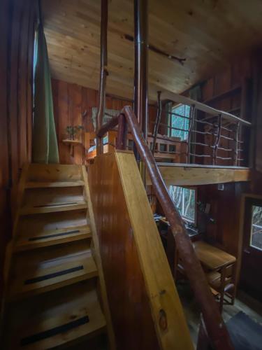 a staircase in a cabin with wooden walls at Cabañas Ensenada Bosque Nativo in Ensenada