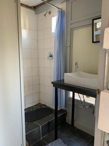 a bathroom with a sink and a shower at Karoo Soul in Oudtshoorn