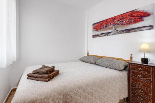 Apartment Caballero de Rodas