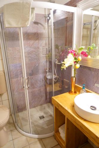 a shower stall in a bathroom with a sink at Landhaus Zum alten Fritz in Seesen