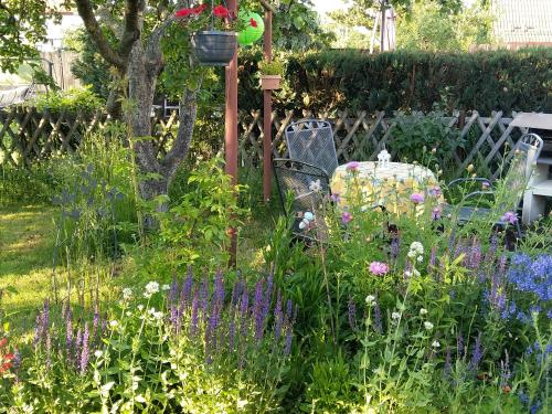 einen Garten mit lila und weißen Blumen und Pflanzen in der Unterkunft Spatzennest in Wernigerode