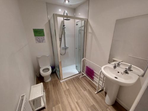 a bathroom with a shower and a sink and a toilet at Dainville Retreat in Skegness