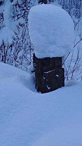 冬のAlpenparadies Grindelwaldの様子