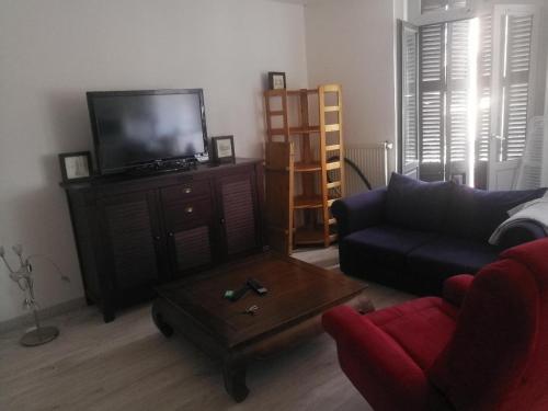 a living room with a couch and a tv at Saint-Chamond in Saint-Chamond