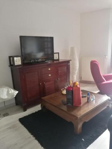 TV a/nebo společenská místnost v ubytování Saint-Chamond