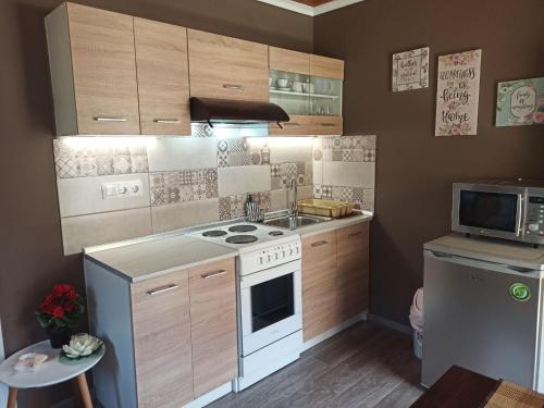 a small kitchen with a stove and a refrigerator at Nikolas House Upper Agni Bay in Agní