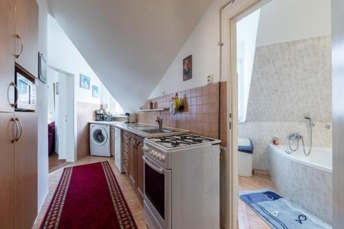 Il comprend une cuisine équipée d'une cuisinière, d'un évier et d'une baignoire. dans l'établissement Apartment Kleopatra, à Karlovy Vary