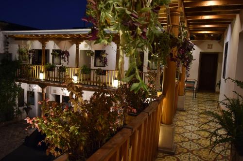 a building with a bunch of potted plants at Casa Morasan Hotel-Boutique in Quetzaltenango