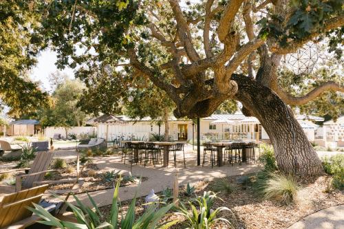 a patio with tables and a tree in a yard at Hotel Ynez in Solvang
