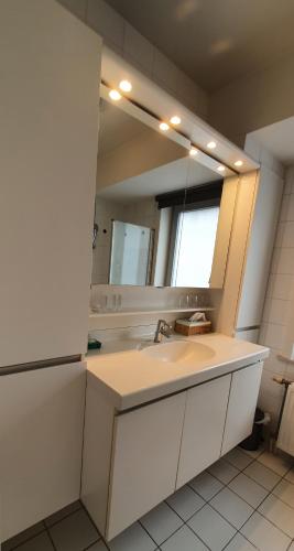 a bathroom with a sink and a mirror at Hotel du Bassin in Ostend