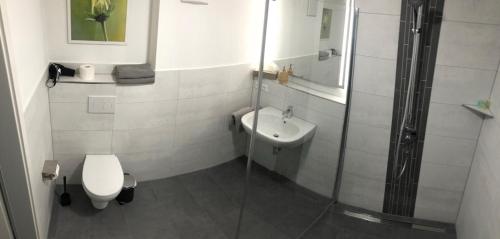 uma casa de banho com um WC, um lavatório e um chuveiro em Ferienwohnung Bodanrück em Messkirch