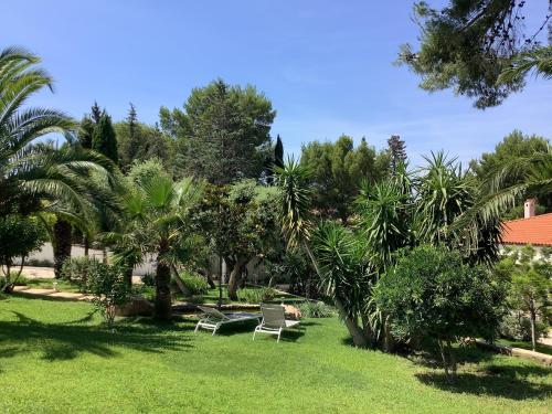 a yard with two chairs and palm trees at Rêv'de Thau in Balaruc-les-Bains