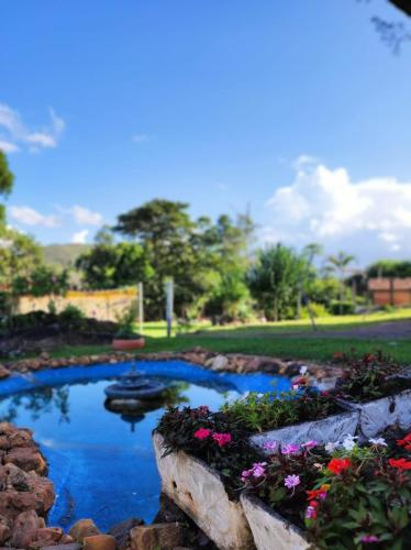 a garden with a pond with flowers in it at Quinta da Bela Vista in Caeté