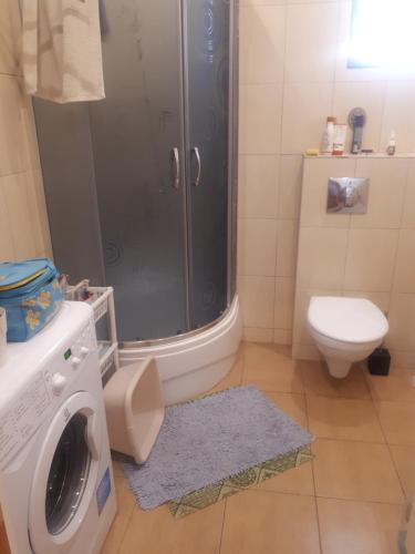 a bathroom with a shower and a washing machine at Elżbieta in Pobierowo